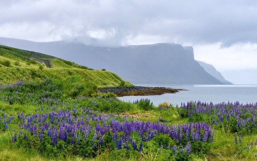 1753973 (a): :1920x1200